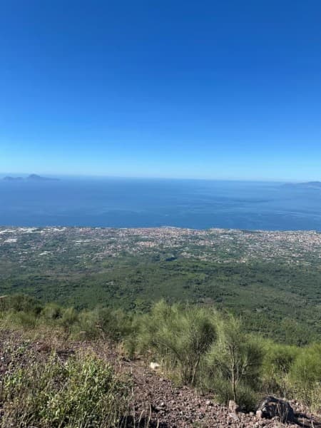 From Sorrento: Pompeii and Vesuvius Guided Tour with Lunch | ®ExcursionMania