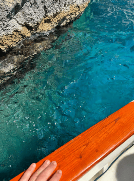 Capri: Island and Grottos Boat Cruise with Snacks and Drinks | ®ExcursionMania