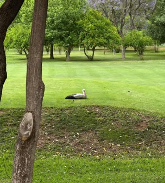 Full-Day Trip Volubilis Moulay Idriss, and Meknes Group Of 8 | ®ExcursionMania - Image 4