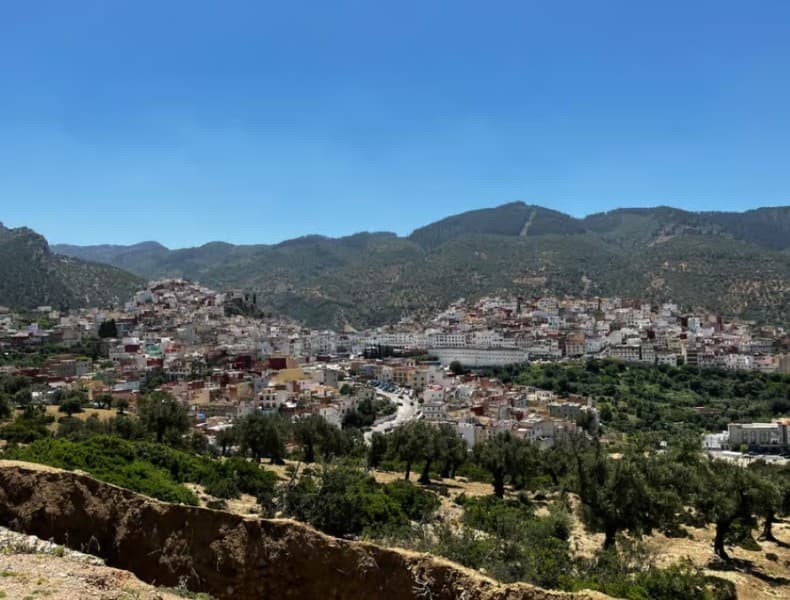 Full-Day Trip Volubilis Moulay Idriss, and Meknes Group Of 8 | ®ExcursionMania