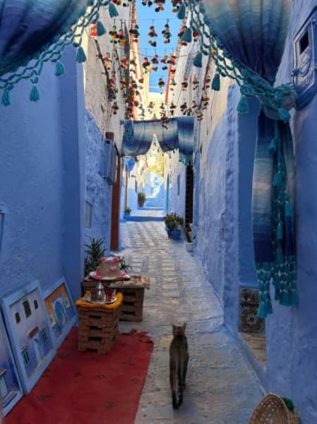 From Tangier: Chefchaouen Round-trip Transportation | ®ExcursionMania - Image 3