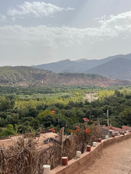 Group Shared Day Tour To Ourika Valley & Atlas Mountains | ®ExcursionMania - Image 4