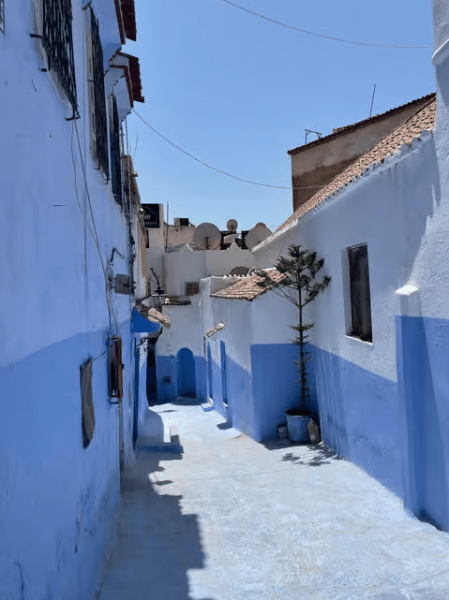 From Tangier: Chefchaouen Round-trip Transportation | ®ExcursionMania