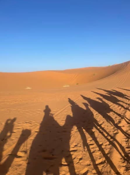 Marrakech: 3-Day Trip To Fez Via The Merzouga Sahara Desert | ®ExcursionMania - Image 3