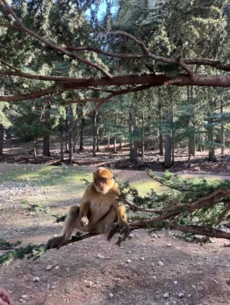 Marrakech: 3-Day Trip To Fez Via The Merzouga Sahara Desert | ®ExcursionMania