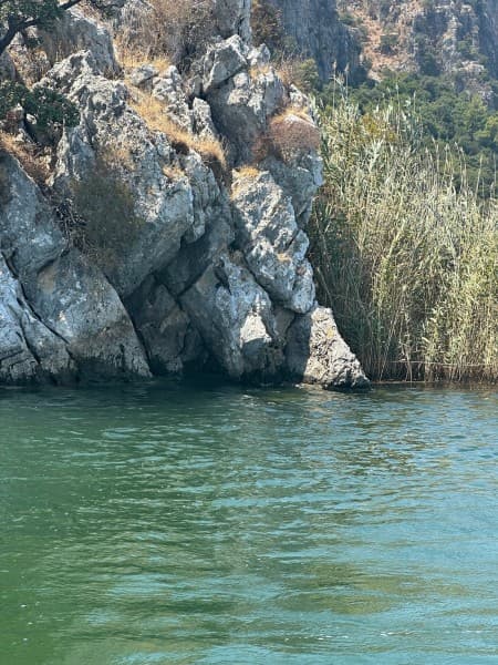 Fethiye: Dalyan Tour Mud Baths & Turtle Beach w/River Cruise | ®ExcursionMania - Image 3