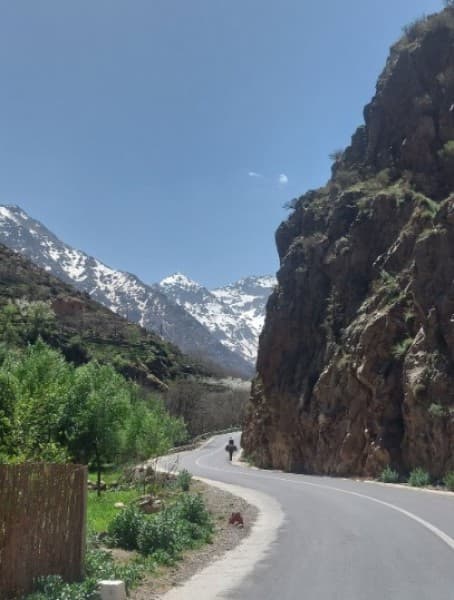 Agafay desert & Atlas Mountains full day tour from Marrakech | ®ExcursionMania - Image 2