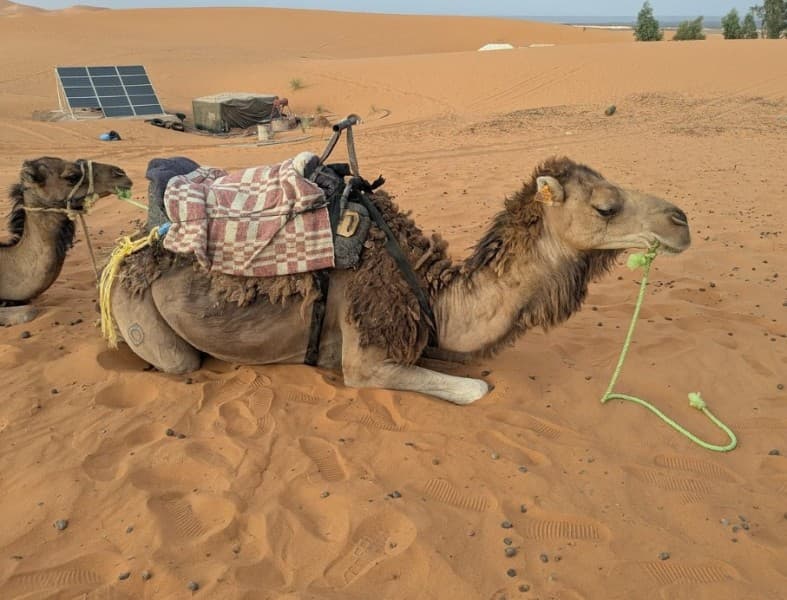 From Casablanca: 10 Day Desert Tour  via the Imperial Cities | ®ExcursionMania - Image 4