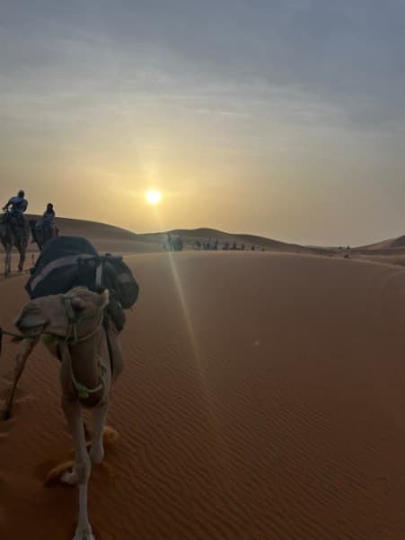 Marrakech to Fes: 3 Days Tour via Merzouga Desert & Camel Trek | ®ExcursionMania - Image 3