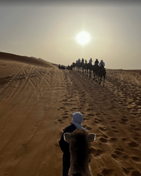 From Fes To Marrakech : 3 days Tour Via The Desert Of Merzouga | ®ExcursionMania