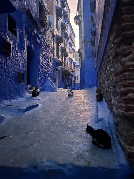From Marrakech: 4 Days Trip to Chefchaouen via the Sahara & Camel Trek | ®ExcursionMania - Image 1