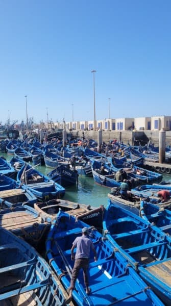 From Marrakech:  Essaouira Day Trip The Ancient Mogador City and Coast | ®ExcursionMania - Image 3