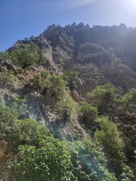 Icmeler Fethiye Tour w/ Saklikent Gorge & Blue Lagoon and Transfer | ®ExcursionMania