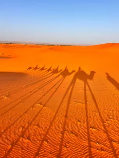 From Fes: 2-Day Desert Tour with Return to Fes or Marrakech | ®ExcursionMania - Image 3