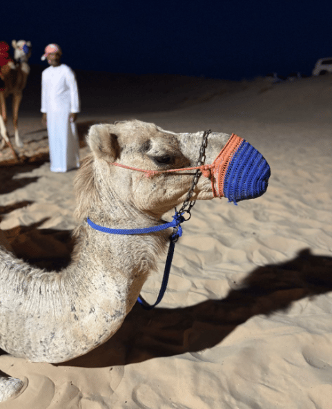 Morning Desert Safari From Abu Dhabi | ®ExcursionMania - Image 3