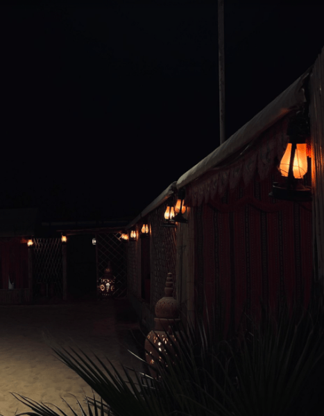 Morning Desert Safari From Abu Dhabi | ®ExcursionMania