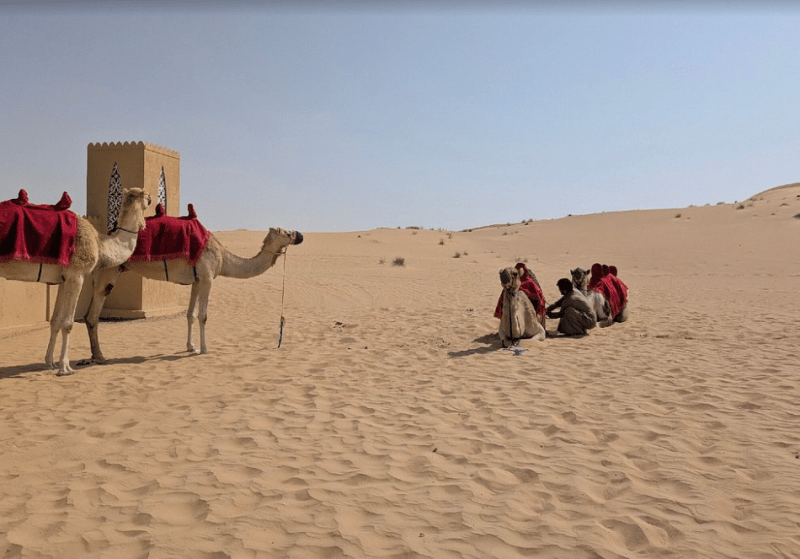 Morning Desert Safari From Abu Dhabi | ®ExcursionMania