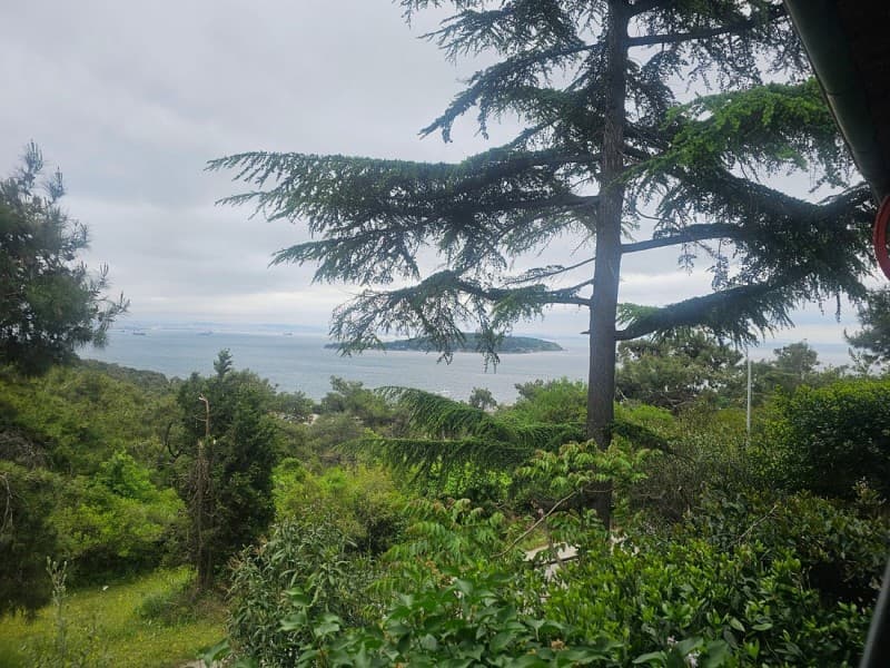 Istanbul: Princess Islands with Lunch and Hotel Transfer | ®ExcursionMania - Image 2