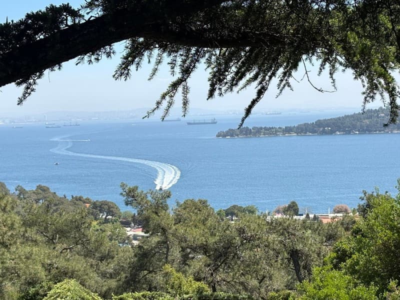 Istanbul: Princess Islands with Lunch and Hotel Transfer | ®ExcursionMania - Image 4