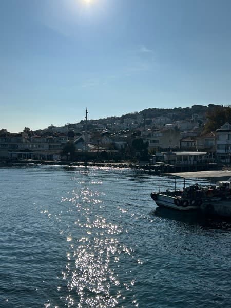 Istanbul: Princess Islands with Lunch and Hotel Transfer | ®ExcursionMania