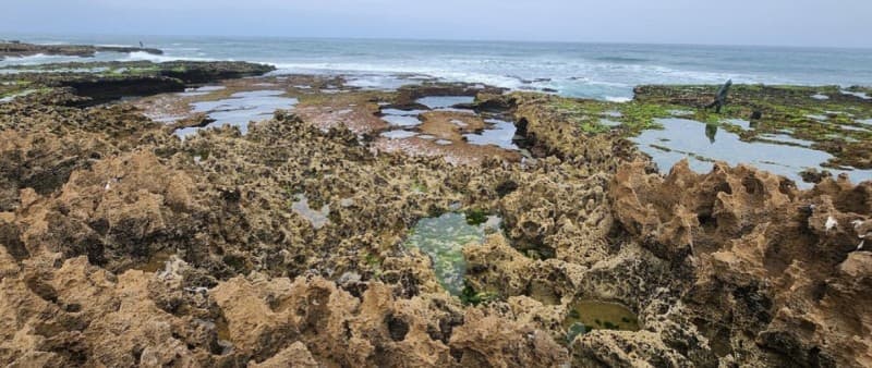 Full-Day Safari Small Desert With Lunch | ®ExcursionMania - Image 3