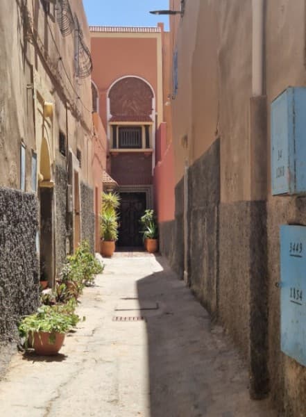 Full-Day Safari Small Desert With Lunch | ®ExcursionMania - Image 2