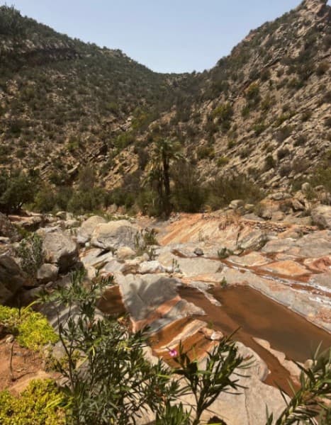 Agadir or Taghazout: Paradise Valley Atlas Mountain Swimming Trip | ®ExcursionMania - Image 3