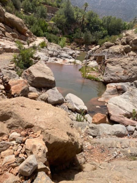 Agadir or Taghazout: Paradise Valley Atlas Mountain Swimming Trip | ®ExcursionMania - Image 1