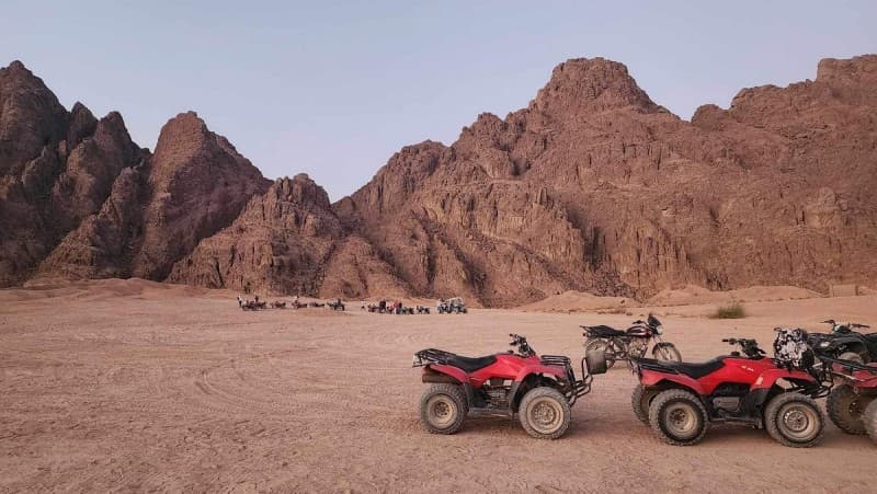 5 in 1 Quads, Camels, Show, Dinner & Star Gazing in Sharm El Sheikh | ®ExcursionMania