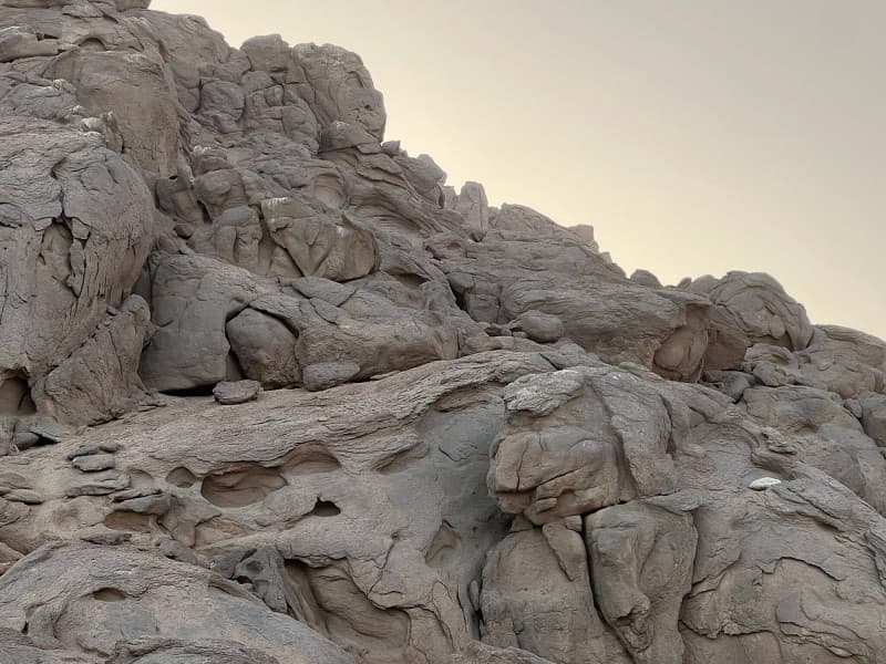 5 in 1 Quads, Camels, Show, Dinner & Star Gazing in Sharm El Sheikh | ®ExcursionMania