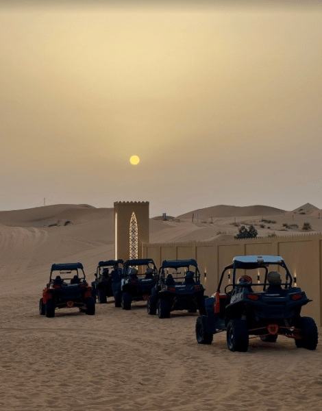 Liwa Full Day Desert Safari from Abu Dhabi | ®ExcursionMania - Image 1