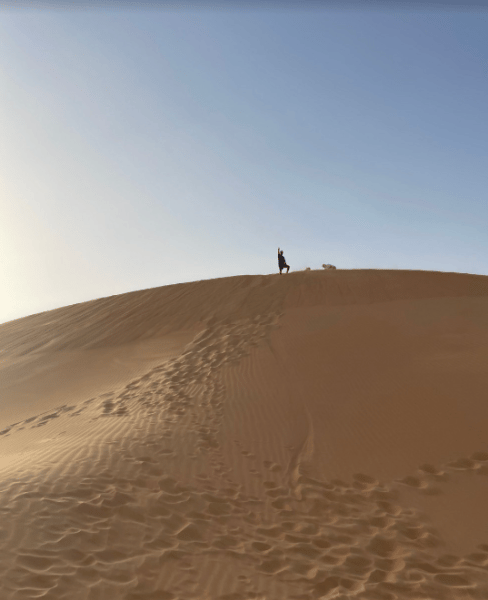 Liwa Full Day Desert Safari from Abu Dhabi | ®ExcursionMania - Image 2