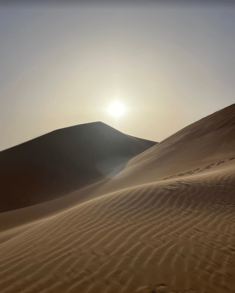 Liwa Full Day Desert Safari from Abu Dhabi | ®ExcursionMania - Image 3