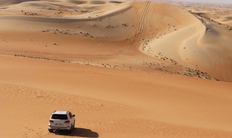 Liwa Full Day Desert Safari from Abu Dhabi | ®ExcursionMania