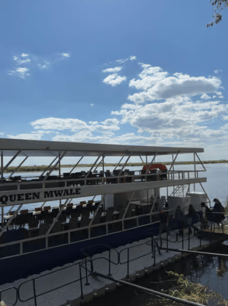 Chobe National Park: Day Trip with River Cruise | ®ExcursionMania - Image 1