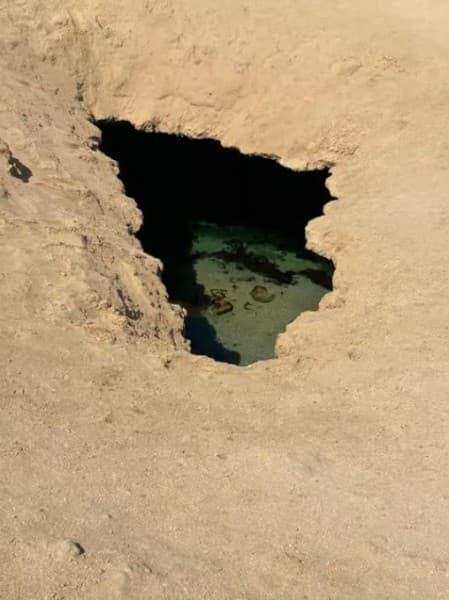 Sharm: Ras Mohammed Half Day Tour by Bus & Allahs gate | ®ExcursionMania