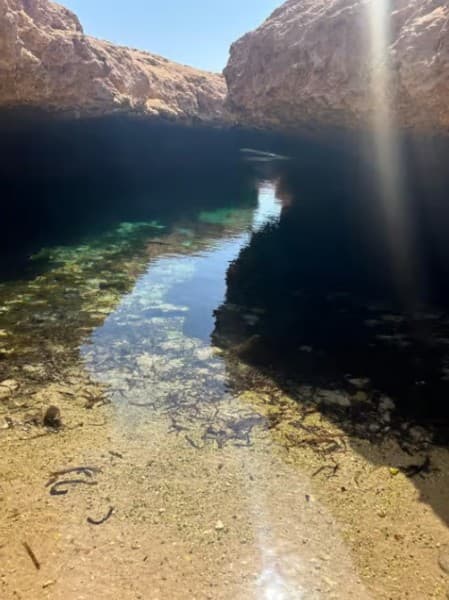 Sharm: Ras Mohammed Half Day Tour by Bus & Allahs gate | ®ExcursionMania