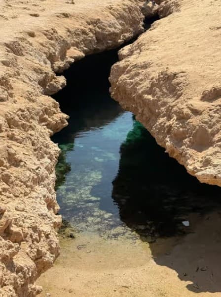 Sharm: Ras Mohammed Half Day Tour by Bus & Allahs gate | ®ExcursionMania