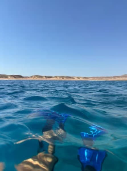 Sharm: Ras Mohammed Half Day Tour by Bus & Allahs gate | ®ExcursionMania