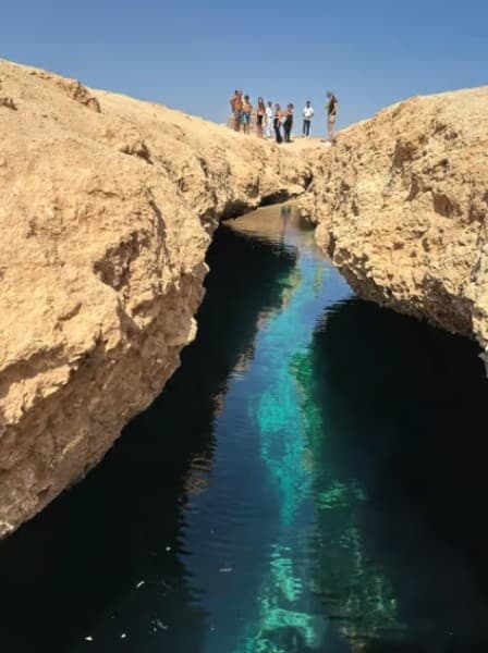 Sharm: Ras Mohammed Half Day Tour by Bus & Allahs gate | ®ExcursionMania