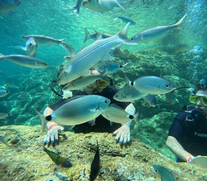Marmaris Snorkeling Tour:  Discover Marmaris’ Secret Aquatic World | ®ExcursionMania - Image 1