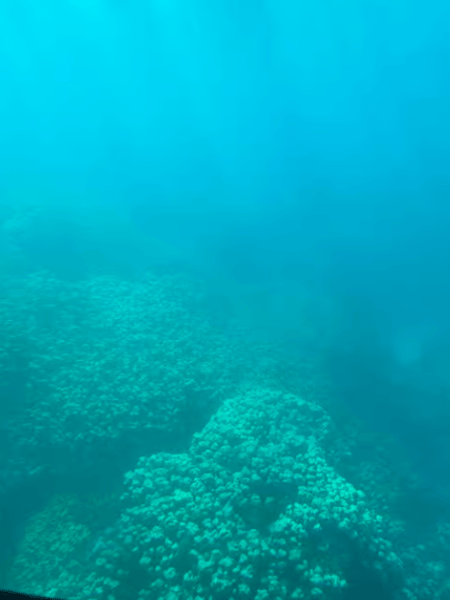 From Safaga: Royal Seascope Submarine with Snorkeling | ®ExcursionMania - Image 1