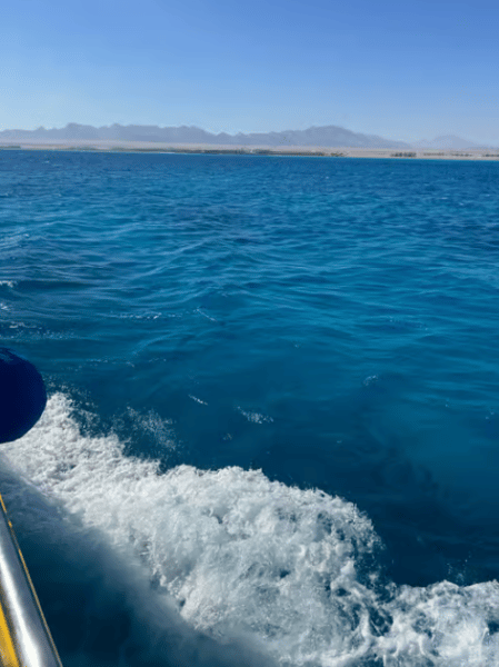 From Safaga: Royal Seascope Submarine with Snorkeling | ®ExcursionMania - Image 4
