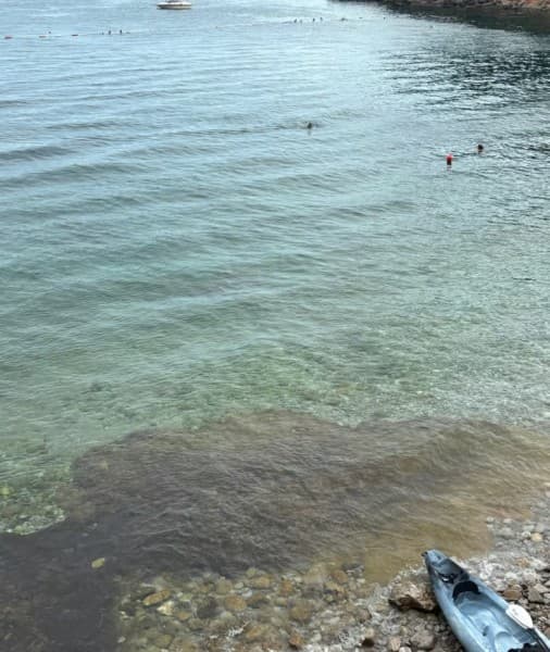 Budva: Kayak & Stand Up Paddle Board Rental | ®ExcursionMania - Image 2