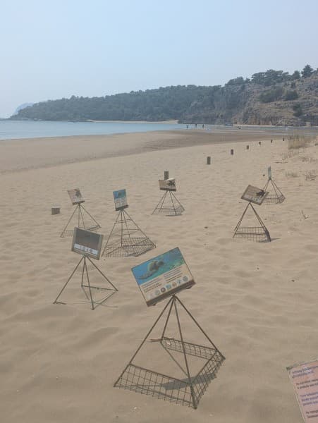 Last Day Marmaris Turtle Beach Tour With Dalaman Airport | ®ExcursionMania - Image 4