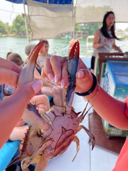 Last Day Marmaris Turtle Beach Tour With Dalaman Airport | ®ExcursionMania