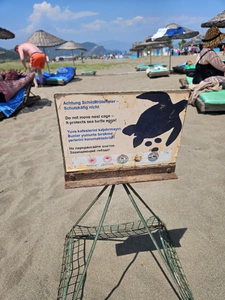 Last Day Marmaris Turtle Beach Tour With Dalaman Airport | ®ExcursionMania