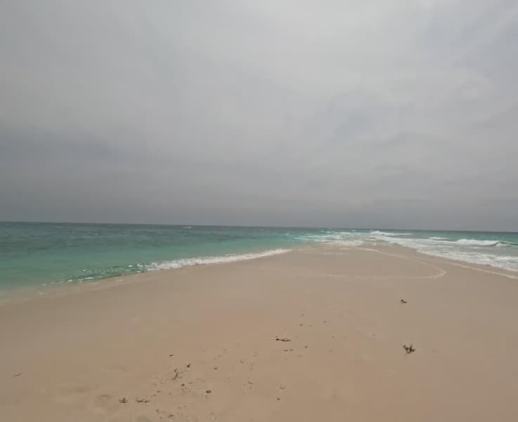 From Uroa/Kiwengwa: Prison Island & Nakupenda Sandbank Tour | ®ExcursionMania - Image 3