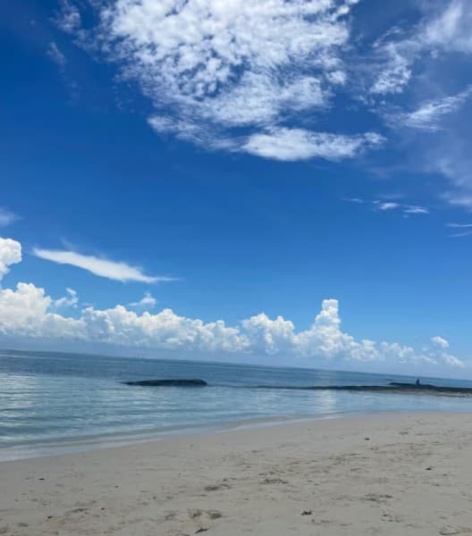 From Jambian/Paje: Prison Island and Nakupenda Sandbank Tour | ®ExcursionMania - Image 3