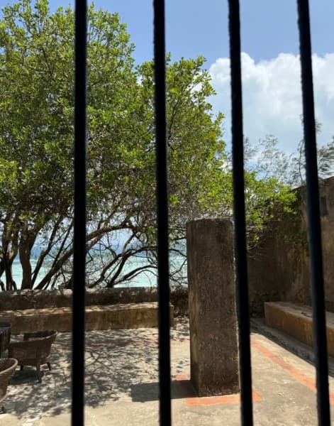 From Jambian/Paje: Prison Island and Nakupenda Sandbank Tour | ®ExcursionMania - Image 4